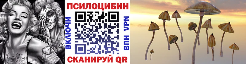 Купить где  Гремячинск  Галлюциногенные грибы ЛСД 